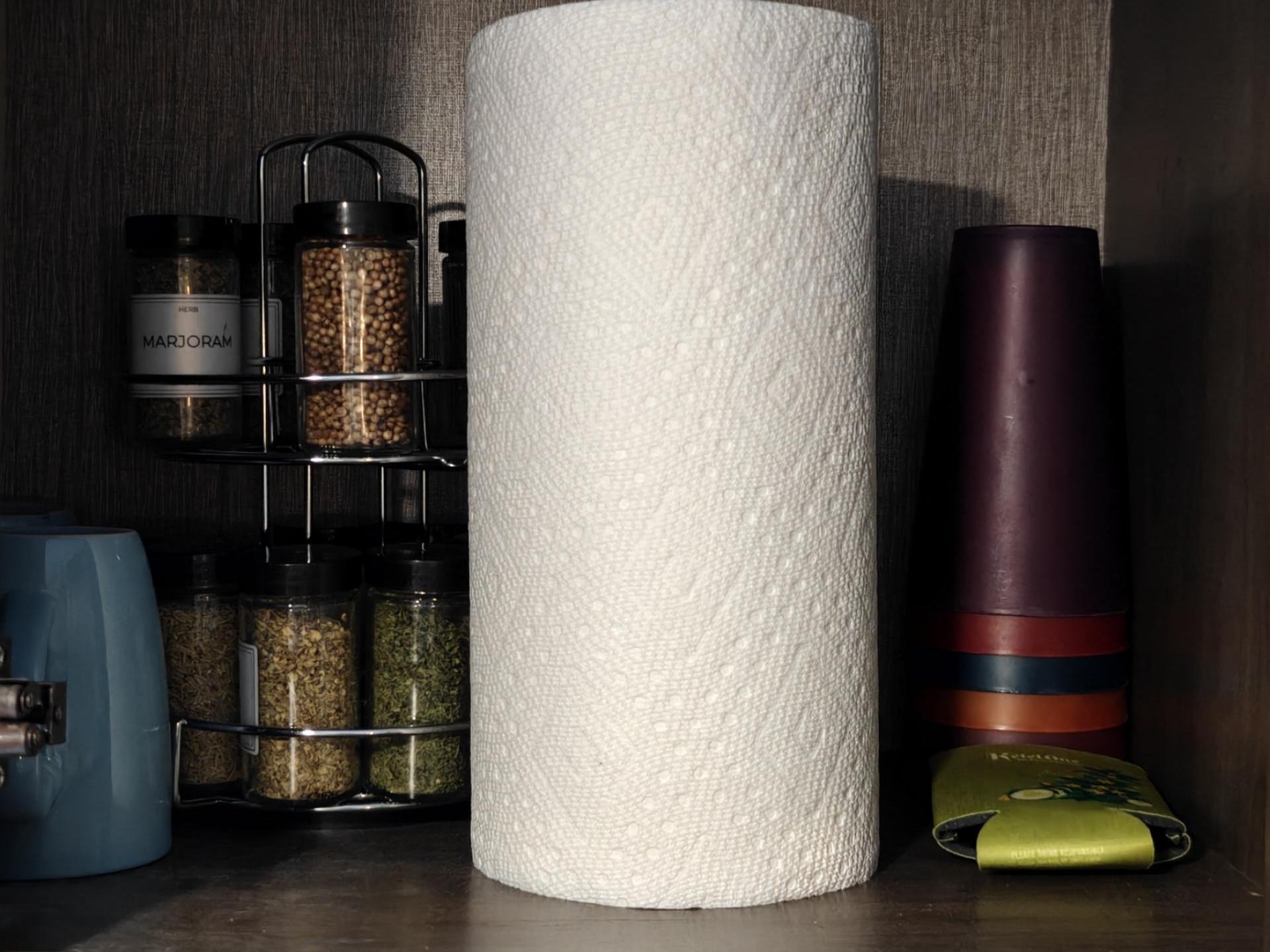 2019 COLEMAN COLEMAN LANTERN 263BH