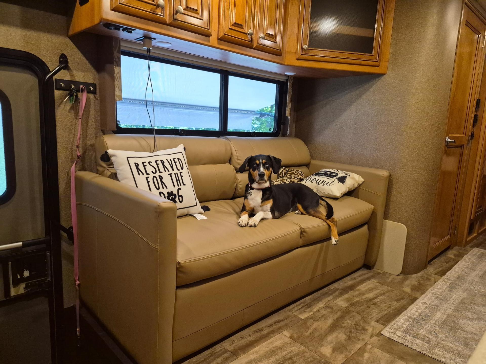 2016 Thor Motor Coach Palazzo 33.3