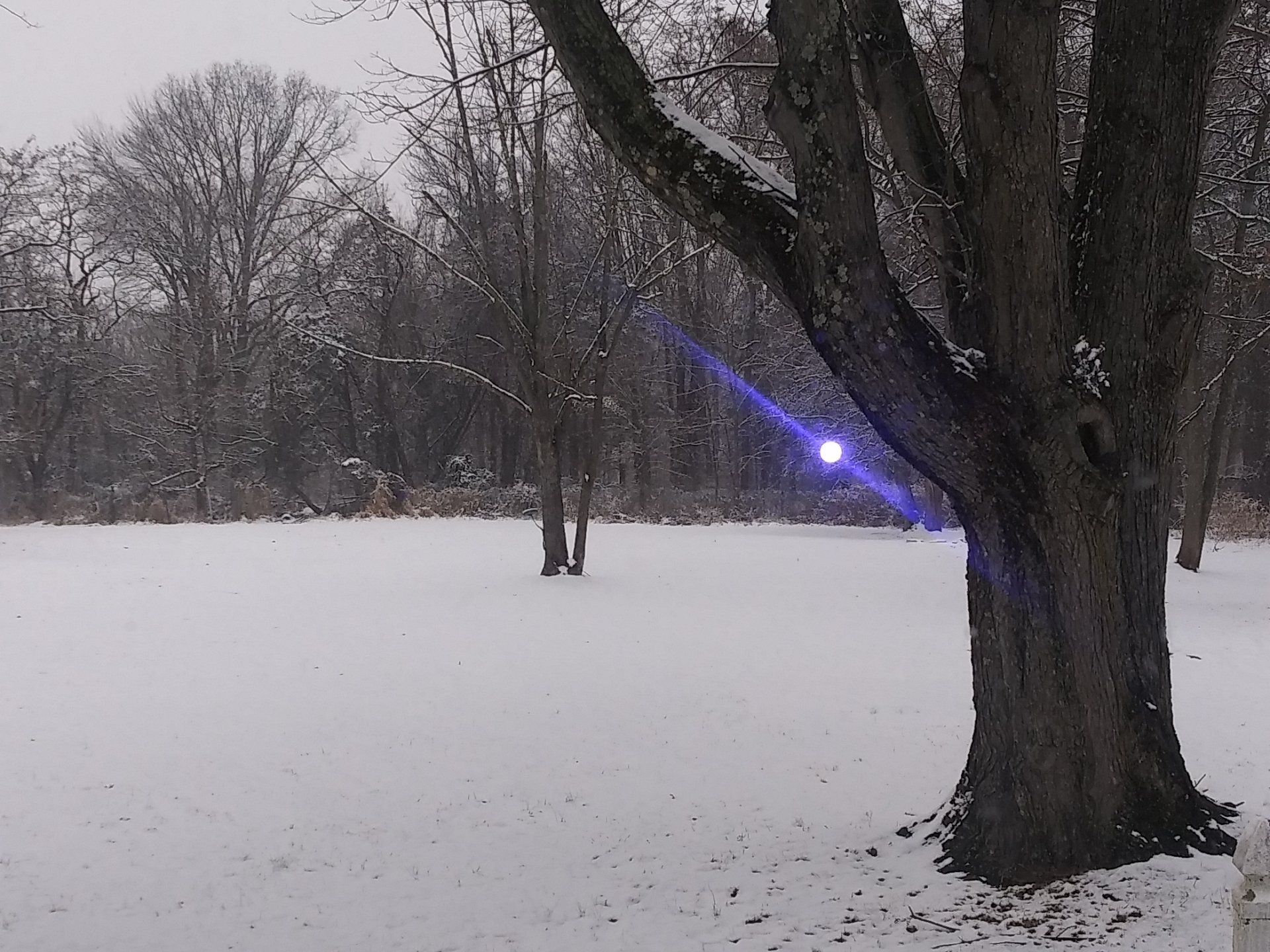 2021 KEYSTONE COUGAR 34TSB