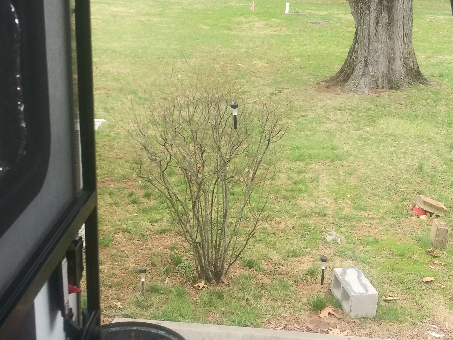 2021 KEYSTONE COUGAR 34TSB