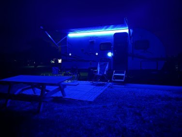 2022 FOREST RIVER CHEROKEE WOLF PUP BLACK LABEL 16BHSBL